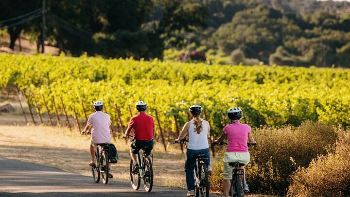 Half-Day Electric Bike Wine Tour in Sonoma County: Two Wineries and Lunch (4/5)