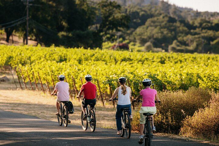 Half-Day Electric Bike Wine Tour in Sonoma County: Two Wineries and Lunch (4/5)