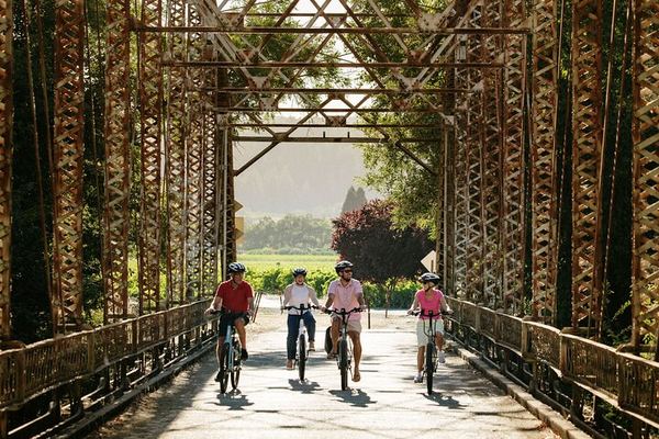 Half-Day Electric Bike Wine Tour in Sonoma County: Two Wineries and Lunch