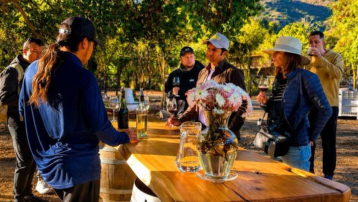 Four Boutique Casablanca Wineries with Emiliana, Bodegas RE and Tanino Restaurant Lunch (1/12)