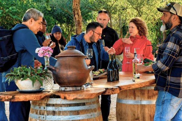 Four Boutique Casablanca Wineries with Emiliana, Bodegas RE and Tanino Restaurant Lunch