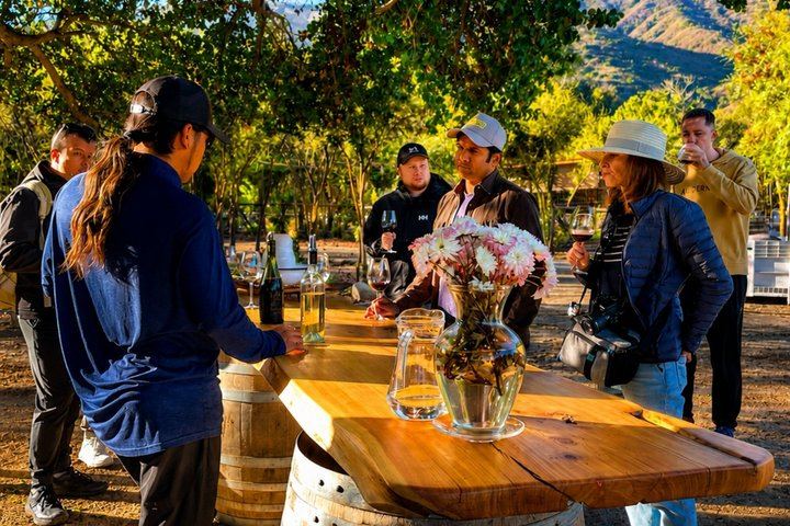 Four Boutique Casablanca Wineries with Emiliana, Bodegas RE and Tanino Restaurant Lunch (1/12)