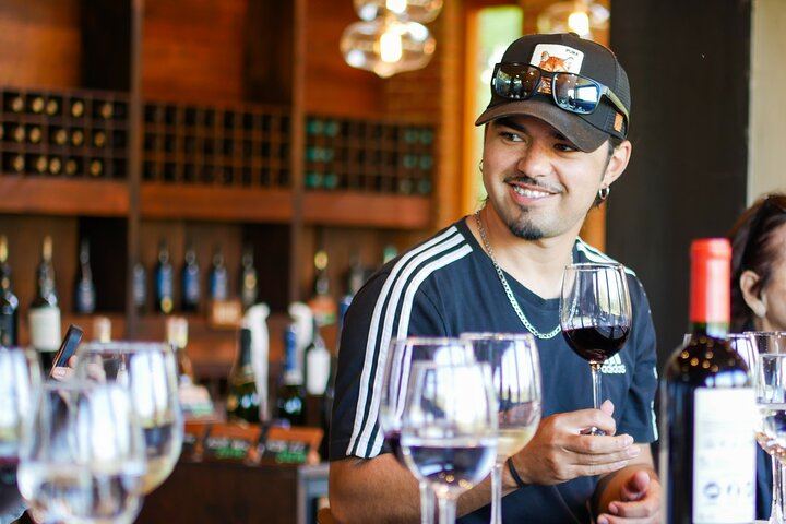 Four Boutique Casablanca Wineries with Emiliana, Bodegas RE and Tanino Restaurant Lunch (2/12)