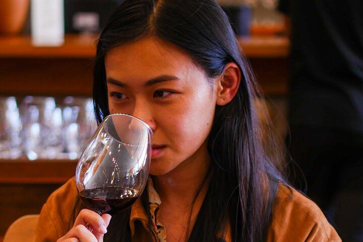 Four Boutique Casablanca Wineries with Emiliana, Bodegas RE and Tanino Restaurant Lunch (9/12)