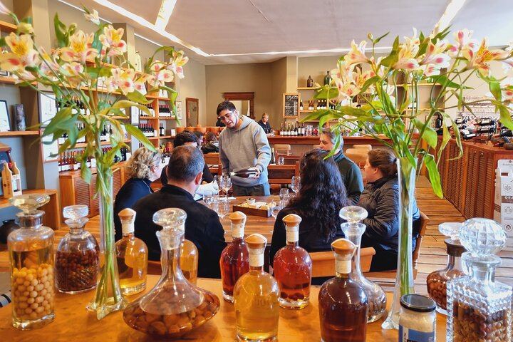 Four Boutique Casablanca Wineries with Emiliana, Bodegas RE and Tanino Restaurant Lunch (10/12)