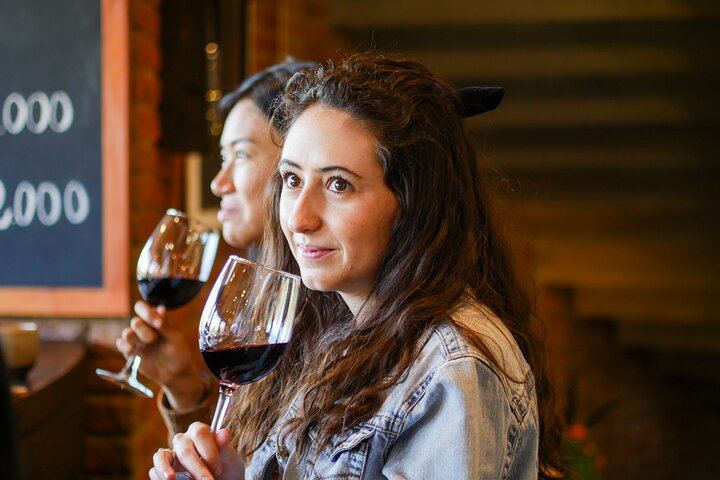 Four Boutique Casablanca Wineries with Emiliana, Bodegas RE and Tanino Restaurant Lunch (6/12)
