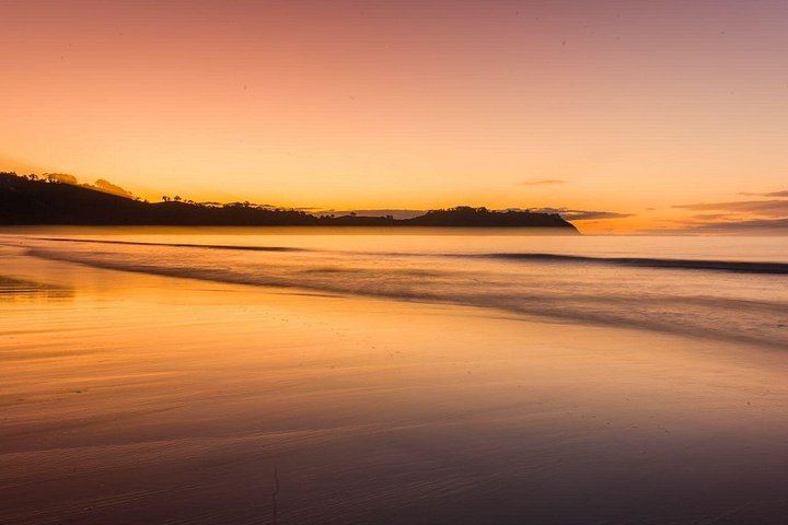 Waiheke Sunset Wine Tour: Mudbrick, Stonyridge and Dinner at Batch Winery (1/12)