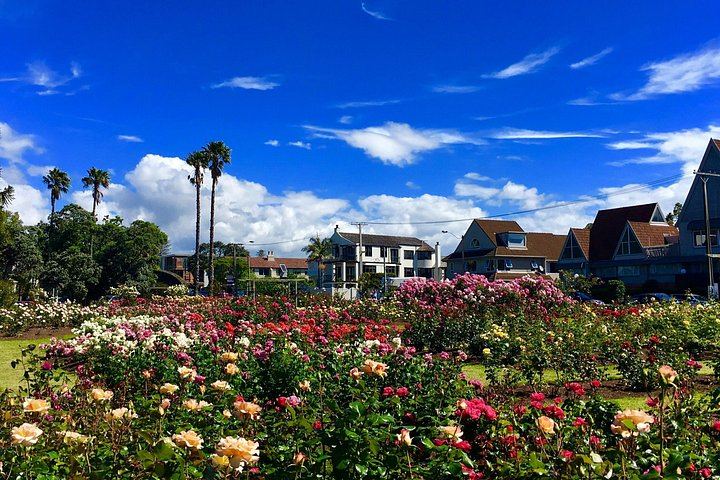 Waiheke Sunset Wine Tour: Mudbrick, Stonyridge and Dinner at Batch Winery (7/12)