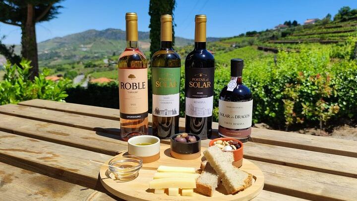 Lamego Guided Wine Tasting at Quinta de Sequeiros with Olive Oil and Honey (3/9)