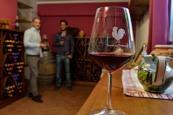 Terre di Perseto Winery in San Casciano: 4 Wines, 2 Olive Oils and Bruschetta Tasting