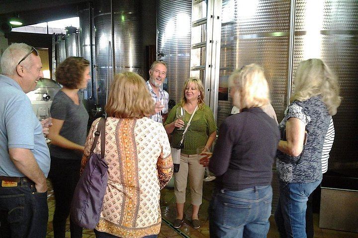 Terre di Perseto Winery in San Casciano: 4 Wines, 2 Olive Oils and Bruschetta Tasting (6/11)