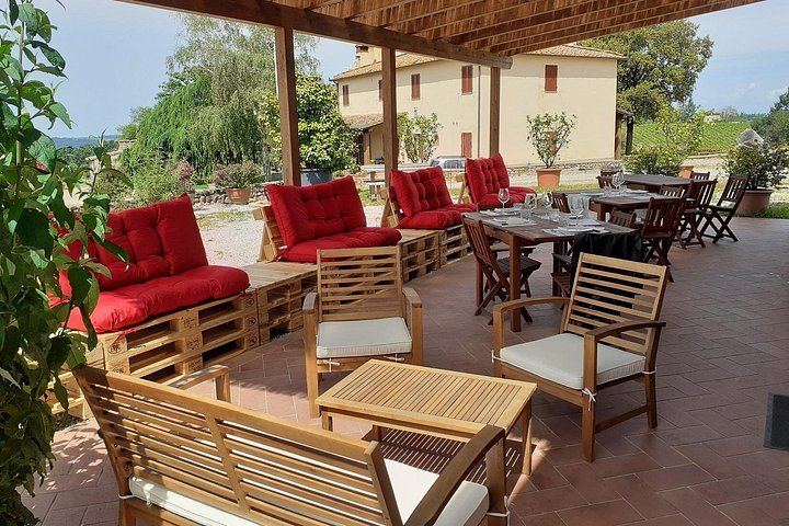 Terre di Perseto Winery in San Casciano: 4 Wines, 2 Olive Oils and Bruschetta Tasting (5/11)