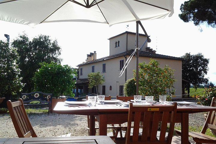 Terre di Perseto Winery in San Casciano: 4 Wines, 2 Olive Oils and Bruschetta Tasting (3/11)