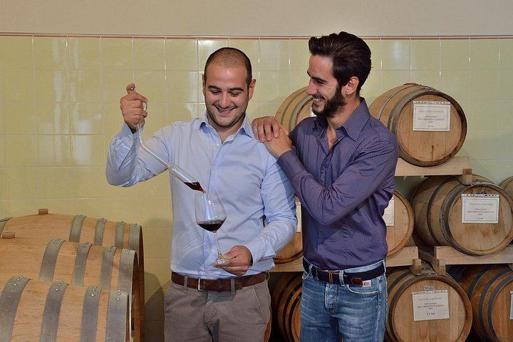 Terre di Perseto Winery in San Casciano: 4 Wines, 2 Olive Oils and Bruschetta Tasting (7/11)