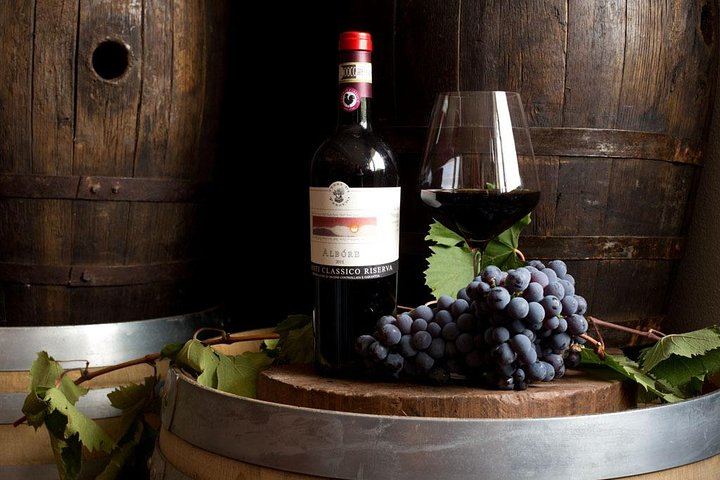 Perseto Chianti Classico Farm near San Casciano: Winery Tour and Four Wines with Crackers (6/11)