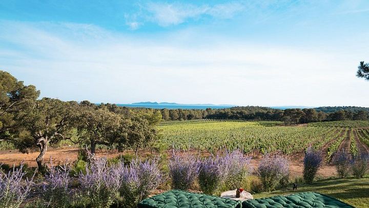 Retro Land Rover Defender Ride through Domaine de la Sanglière Vineyard with Tasting (3/10)