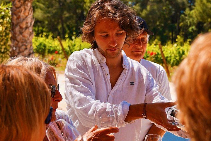 Retro Land Rover Defender Ride through Domaine de la Sanglière Vineyard with Tasting (5/10)