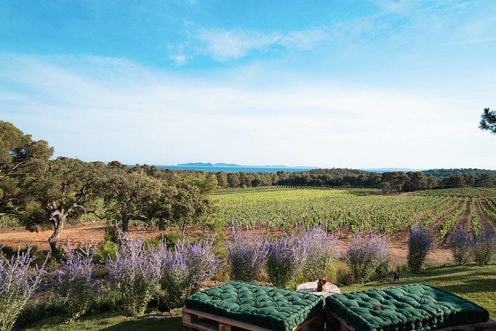 Retro Land Rover Defender Ride through Domaine de la Sanglière Vineyard with Tasting (3/10)