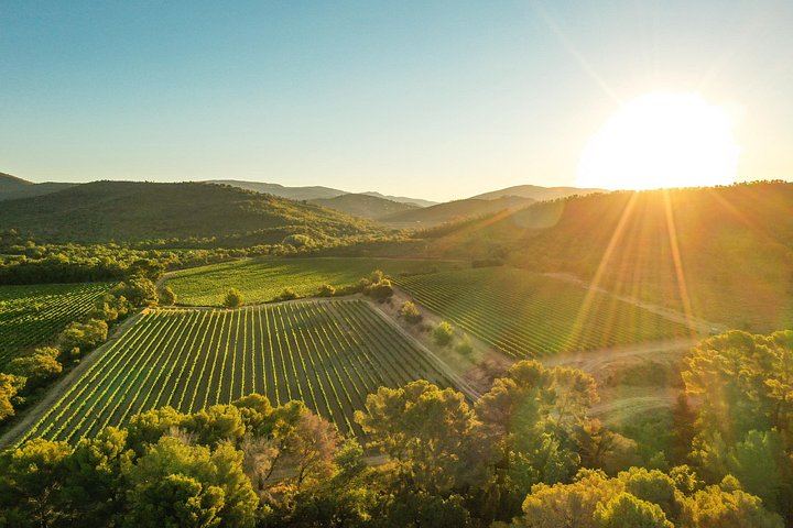 Retro Land Rover Defender Ride through Domaine de la Sanglière Vineyard with Tasting (2/10)