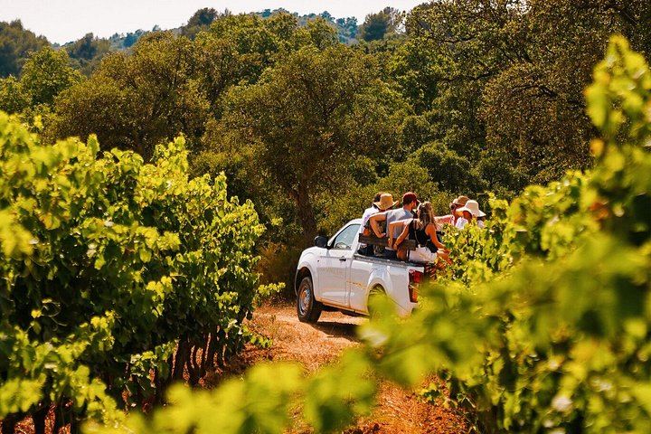 Retro Land Rover Defender Ride through Domaine de la Sanglière Vineyard with Tasting (9/10)
