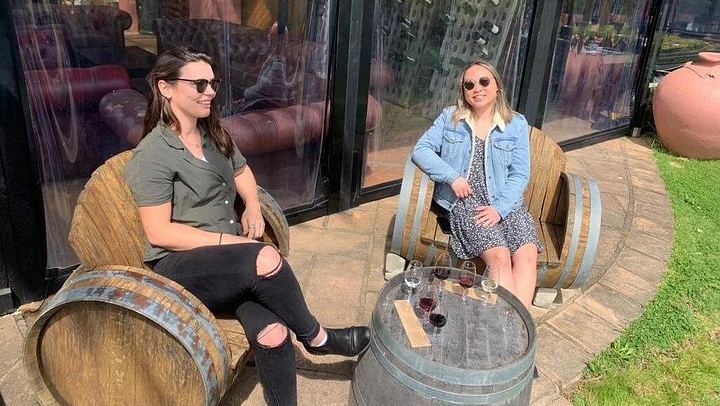 Private Waiheke Wine Tour with Kiwi Connect: Up to 12 Tastings, 3 Vineyards (2/11)