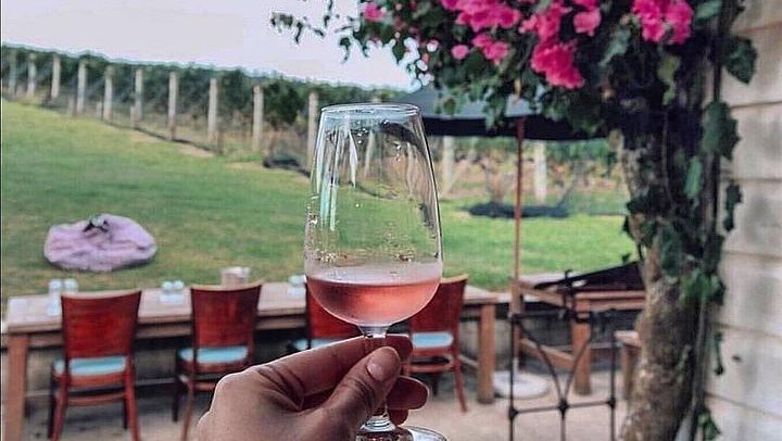 Private Waiheke Wine Tour with Kiwi Connect: Up to 12 Tastings, 3 Vineyards (1/11)