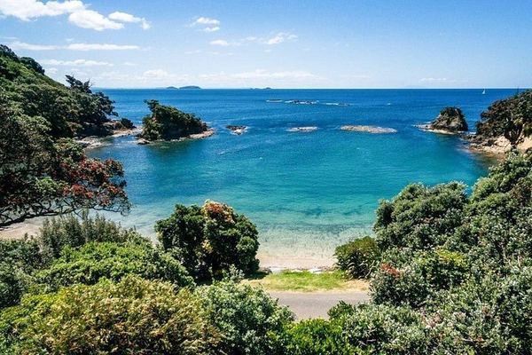 Private Waiheke Wine Tour with Kiwi Connect: Up to 12 Tastings, 3 Vineyards