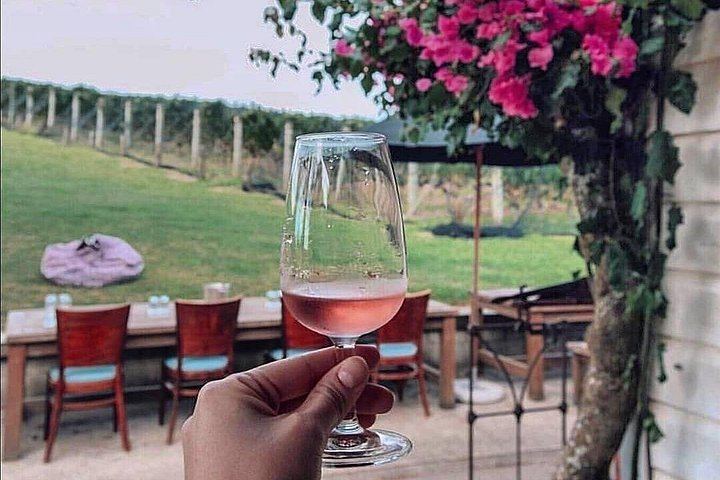 Private Waiheke Wine Tour with Kiwi Connect: Up to 12 Tastings, 3 Vineyards (1/11)