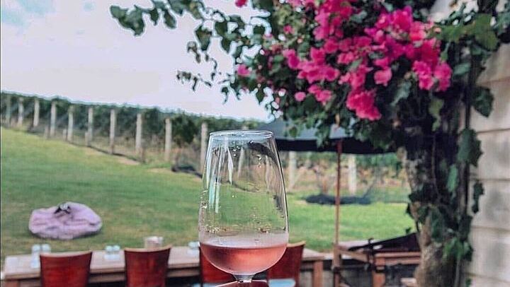 Far End of Waiheke Wine Tour in Electric Vans: Man O' War, Gin and Private Guide (1/9)