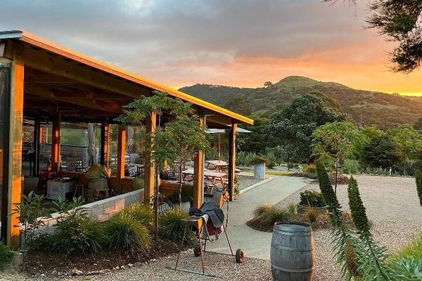Far End of Waiheke Wine Tour in Electric Vans: Man O' War, Gin and Private Guide