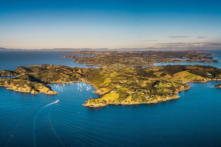 Far End of Waiheke Wine Tour in Electric Vans: Man O' War, Gin and Private Guide (5/9)