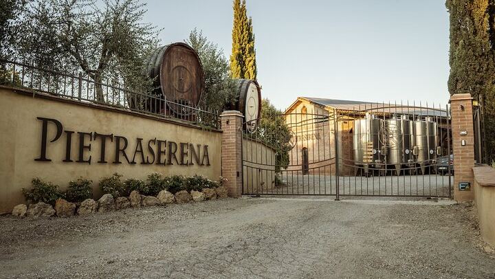 Vernaccia and Chianti Colli Senesi: Vineyard and Cellar Visit, Five Wines (1/5)