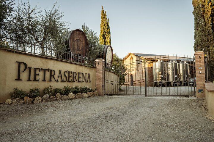 Vernaccia and Chianti Colli Senesi: Vineyard and Cellar Visit, Five Wines (1/5)