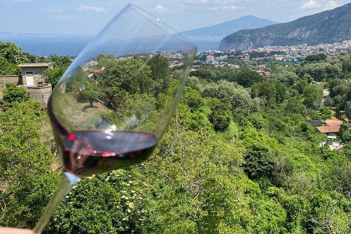 Five Wine Tastings on the Sorrento Coast with Cured Meats, Cheeses and Limoncello (5/6)