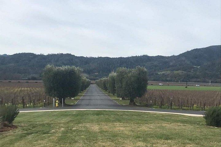 6-Hour Private SUV Wine Tour of Napa or Sonoma Valley with a Chauffeur (12/12)