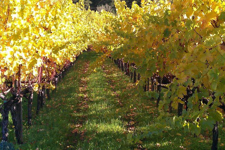 6-Hour Private SUV Wine Tour of Napa or Sonoma Valley with a Chauffeur (6/12)