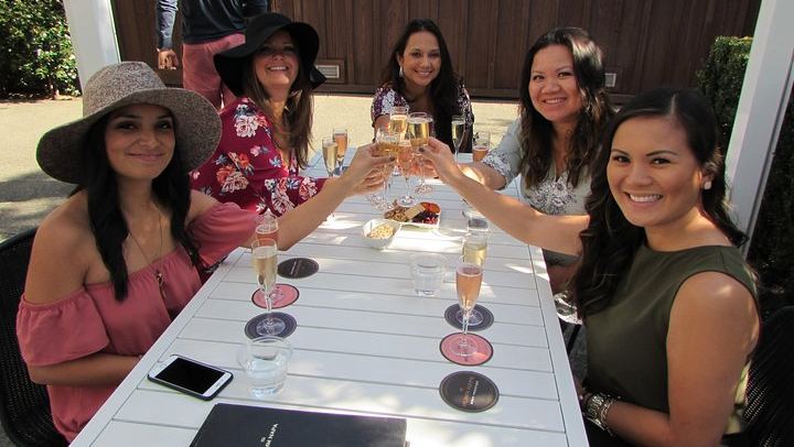 Private 6-Hour Napa and Sonoma Wine Tour for up to 7, Lesser-Known Wineries (1/12)
