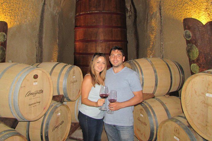 Private 6-Hour Napa and Sonoma Wine Tour for up to 7, Lesser-Known Wineries (10/12)