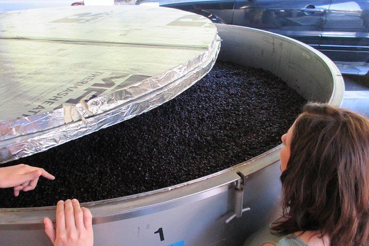 Private 6-Hour Napa and Sonoma Wine Tour for up to 7, Lesser-Known Wineries (5/12)