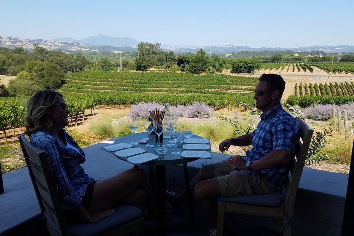 Private 6-Hour Napa and Sonoma Wine Tour for up to 7, Lesser-Known Wineries (12/12)