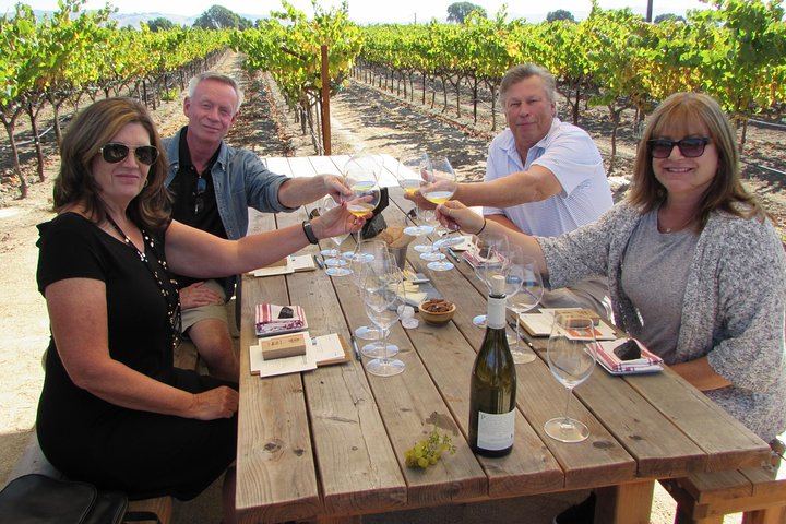 Private 6-Hour Napa and Sonoma Wine Tour for up to 7, Lesser-Known Wineries (6/12)