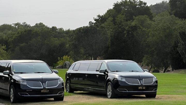 Apex Wine Tours: Private 6-Hour Lincoln MKT Stretch Limo Tour of Napa or Sonoma (1/12)