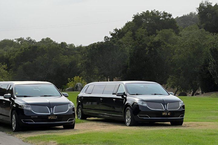 Apex Wine Tours: Private 6-Hour Lincoln MKT Stretch Limo Tour of Napa or Sonoma (1/12)