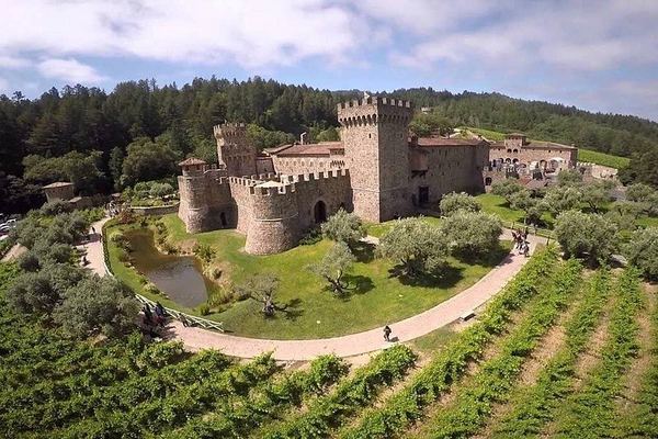 Private 6-Hour Luxury SUV Wine Tour in Napa or Sonoma Valley, Driver Included
