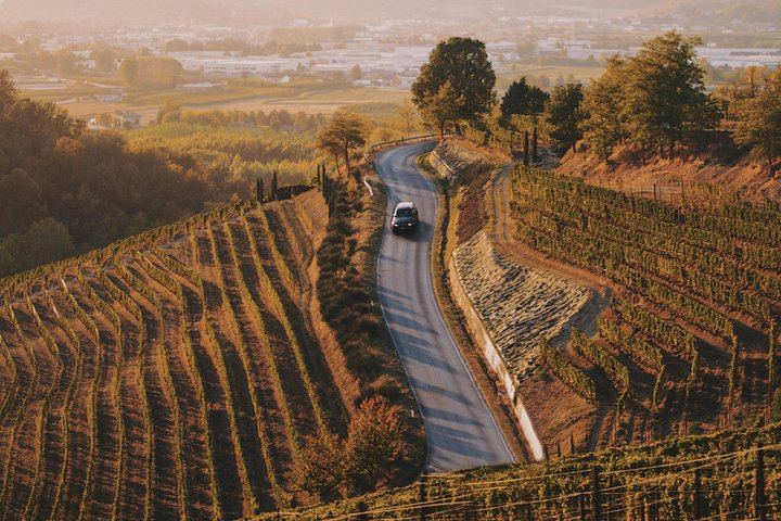 Private 6-Hour Luxury SUV Wine Tour in Napa or Sonoma Valley, Driver Included (1/5)