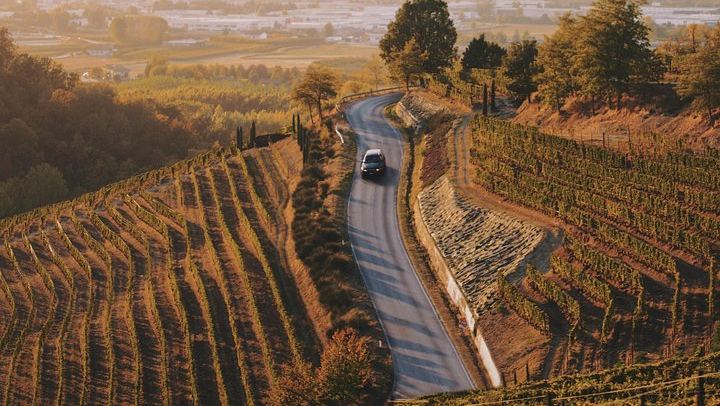 Private 6-Hour Luxury SUV Wine Tour in Napa or Sonoma Valley, Driver Included (1/5)