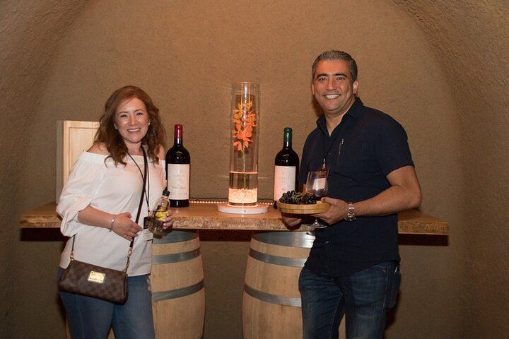 Private 6-Hour Wine Country Tour by Sedan, SUV or Limo with Chauffeur (8/8)