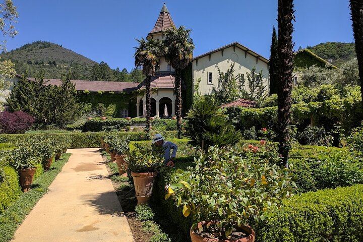 Private 6-Hour Wine Country Tour by Sedan, SUV or Limo with Chauffeur (5/8)