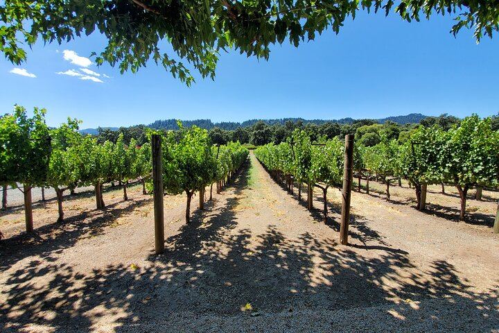 Private 6-Hour Sparkling Wine Tour of Napa Valley in a Luxury Sedan (4/7)
