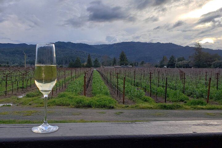 Private 6-Hour Sparkling Wine Tour of Napa Valley in a Luxury Sedan (7/7)